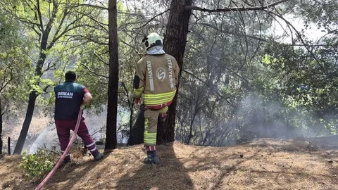 İskenderun’da orman yangını kontrol altına alındı