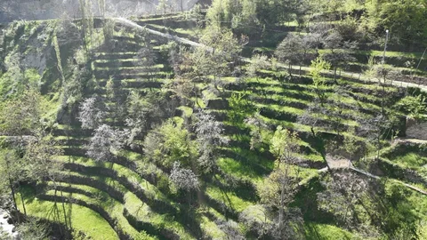 Artvin'de 60 Yıllık Tarım Mirası
