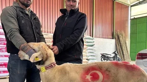 Sarıgöl'de Kurbanlık Satışları Artıyor