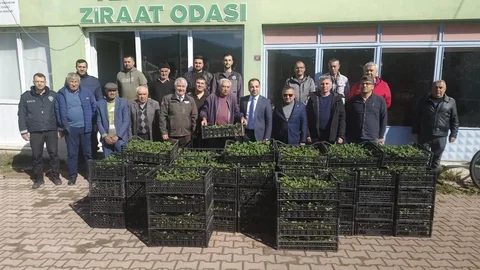 Bilecik'te Çilek Fidesi Dağıtımı Yapıldı
