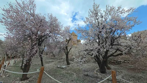Akdamar Adası'nda Bahar Renkleri