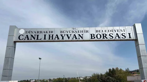 Diyarbakır Canlı Hayvan Borsası Tadilatta