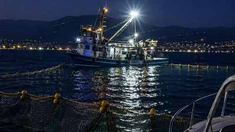 Gemlik Körfezi'nde Sardalya Avı Başladı