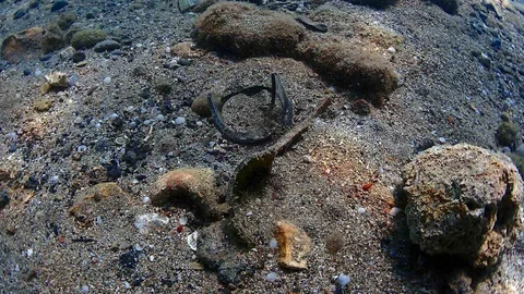 Antalya'da Deniz Dip Temizliği Etkinliği