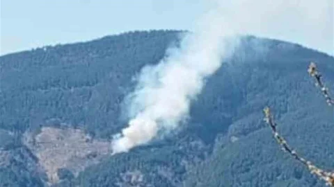 Nazilli'de Orman Yangını Kontrol Altına Alınmaya Çalışılıyor