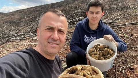 Baba ve Oğulun Mantar Avı Kütahya'da Şenlikte Dönüştü