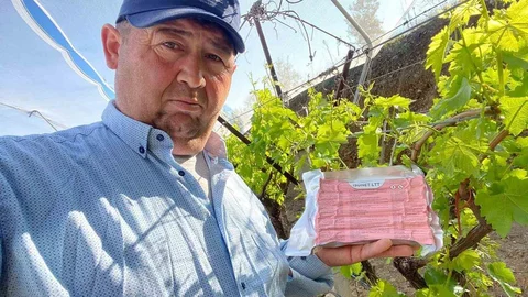 Sarıgöl Ovası'nda Üzüm Bağları İçin Yeni Yöntem