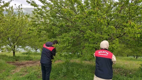 Malatya'da Dolu Hasar Tespiti Başladı