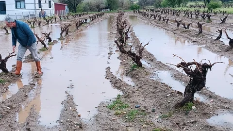 Elazığ'da Dolu Yağışı Hasar Tespiti