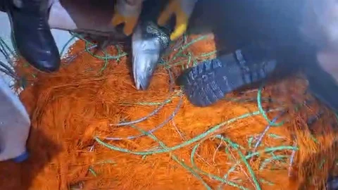 Elazığ'da Kaçak Avcılara Darbe
