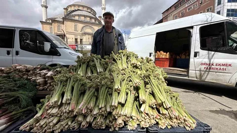 Yüksekova'da Yayla Muzu Sezonu Açıldı