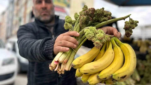 Van'da Uçkun Satışları Başladı