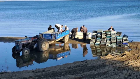 İznik Gölü'nde Gümüş Balığı Sezonu Başladı