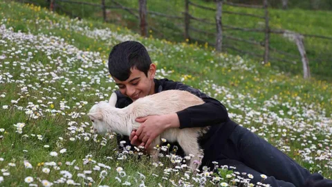 Minik Çobanlar Lapseki'de Yarışacak