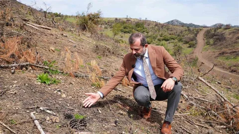 Gürsu'da Yeşillendirme Çalışmaları Başarıyla Devam Ediyor