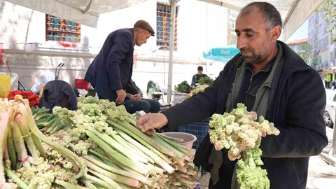 Elazığ'da Vitamin Deposunun Sezonu Açıldı