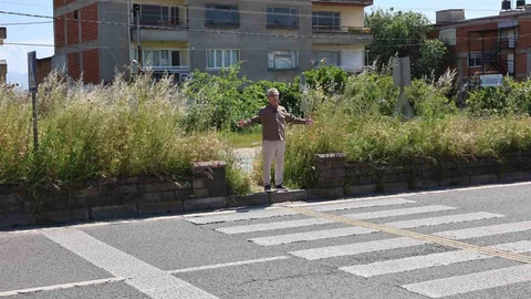 Nazilli'de Yabani Ot Uyarısı