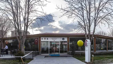 Mimarsinan Pidecisi Yenilendi