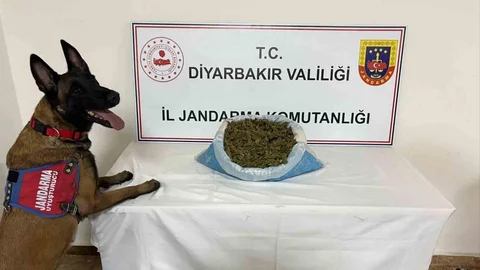 Diyarbakır'da Uyuşturucu Operasyonu