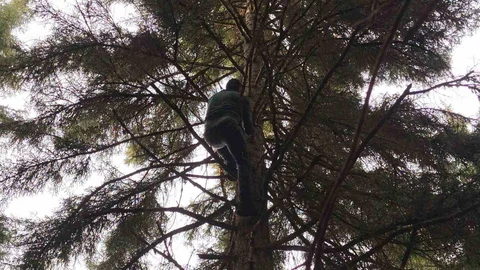 Artvin'de Dron Kurtarma Operasyonu