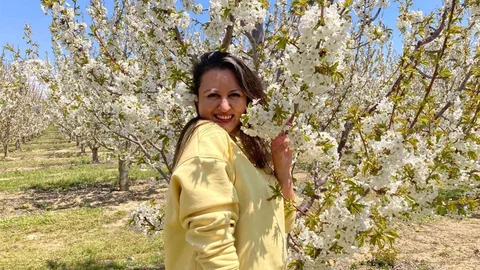 Beşinci Kiraz Çiçeği Etkinliği Yapıldı