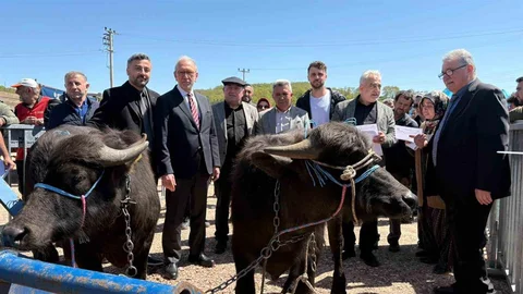 Kocaeli’de Manda Yetiştiricilerine Destek Verildi
