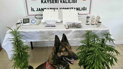 Kayseri'de Uyuşturucu Operasyonu Gerçekleşti