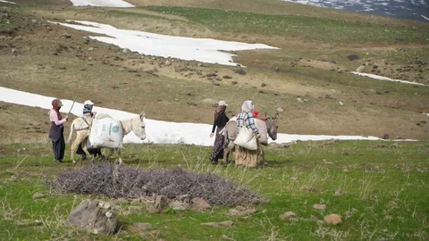 Muş'ta Çiriş Otu Gelir Kapısı Oldu
