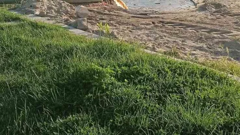 Burhaniye'de Denize Akan Kirli Sular