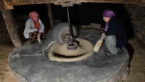 Hizan'da Doğal Pirinç Üretimi Devam Ediyor