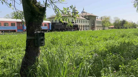 Edirne'de Yaban Hayatı İzleniyor