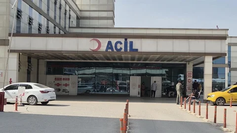 Baharla Gelen Polen Problemi