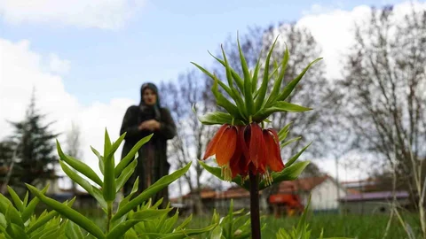 Denizli'de Bahar Coşkusu