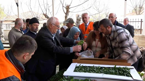 Atakum'da Çiftçilere Fide Desteği Verildi