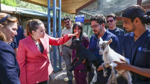 Başkan Vekili Büşra Özdemir'den Veteriner Hekimlere Teşekkür