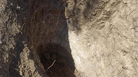 Tekirdağ Mezarlığında Define Arama İddiası