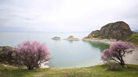 Baharın Renkleri Van Gölü'nde Açtı