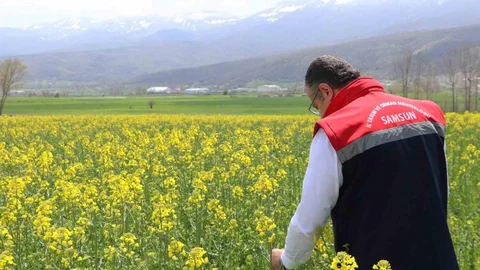 Samsun'da Tohum Desteği Dağıtıldı