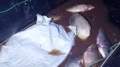 Bolu'da Yasa Dışı Ağ Operasyonu