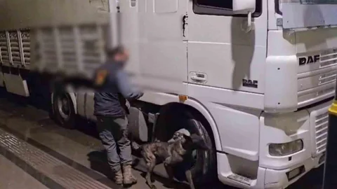 Sivas’ta Uyuşturucu Operasyonu