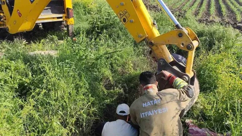Antakya'da Kuyuya Düşen Hayvan Kurtarıldı
