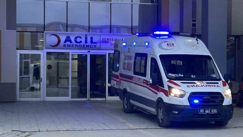 Van'da Sokak Köpekleri Saldırısı