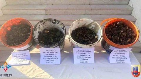Sason’da Endemik Bitki Ceza Oranı