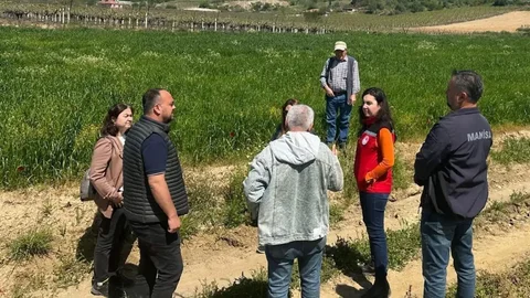 Sarıgöl'de İncir Üretimi İçin Çalışmalar Başladı
