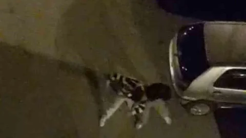 Bursa'da Sokakta Kavga Anları Kamerada