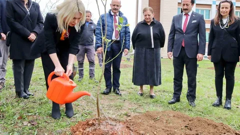 Akdeniz Üniversitesi'nde Fidan Dikimi Çalışmaları