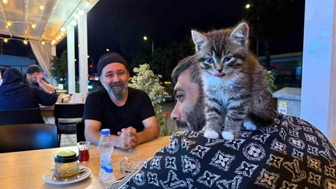 Antalya'da Yavru Kedi ile Bağımlılıktan Kurtuluş
