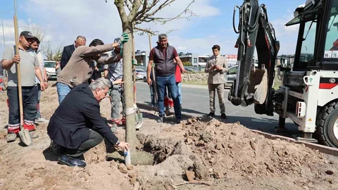 Melikgazi'de Ağaçlandırma Faaliyetleri