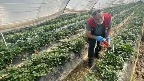 Köşk’ten Sultanhisar’a Denetim Uygulaması