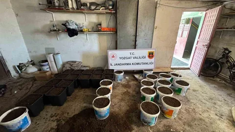 Yozgat'ta Uyuşturucu Operasyonu